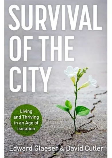 Survival of the City