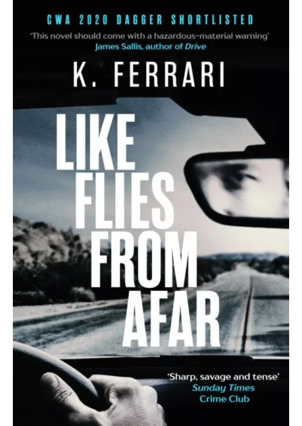 K. Ferrari - Like Flies from Afar