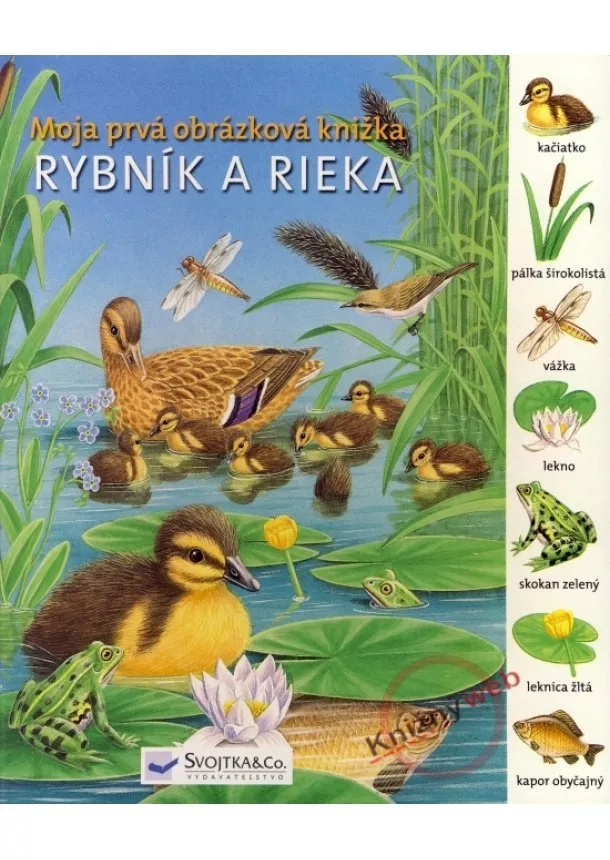 Kolektív - Rybník a rieka - Moja prvá obrázková knižka