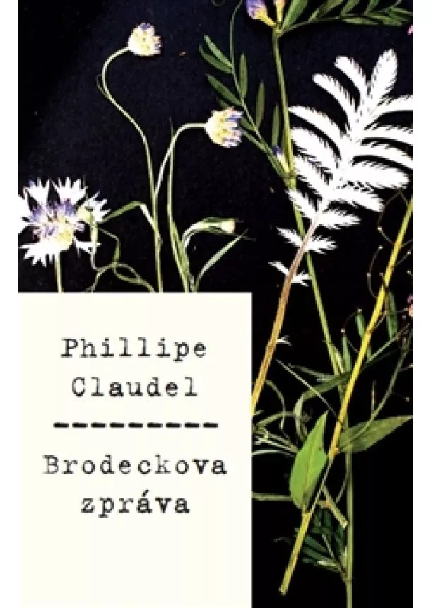 Philippe Claudel - Brodeckova zpráva