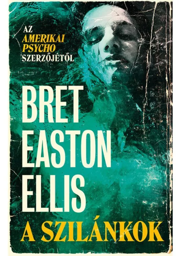 Bret Easton Ellis - A szilánkok