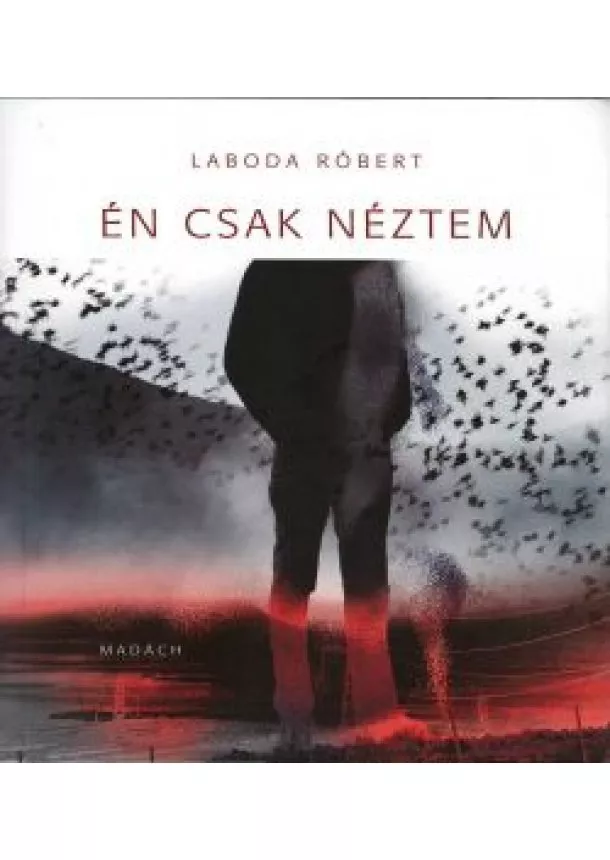 LABODA RÓBERT - Én csak néztem