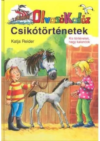 Csikótörténetek /Olvasókalauz