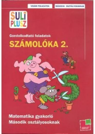 SZÁMOLÓKA 2. - GONDOLKODTATÓ FELADATOK