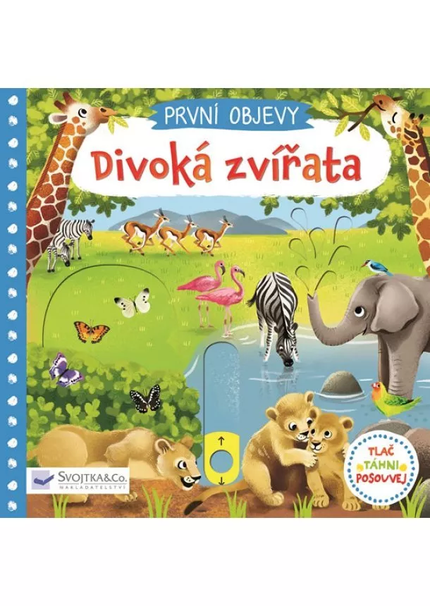 Jenny Wren - Divoká zvířata - První objevy