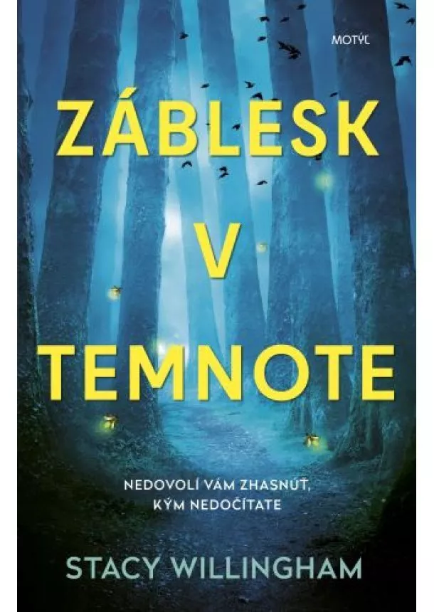 Stacy Willingham - Záblesk v temnote