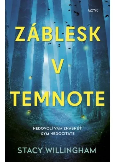 Záblesk v temnote