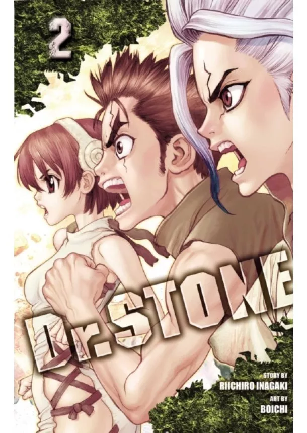 Riichiro Inagaki - Dr. Stone 2