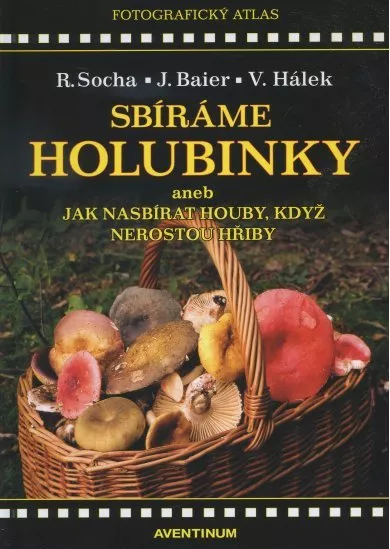 Sbíráme holubinky - aneb jak nasbírat houby, když nerostou hřiby