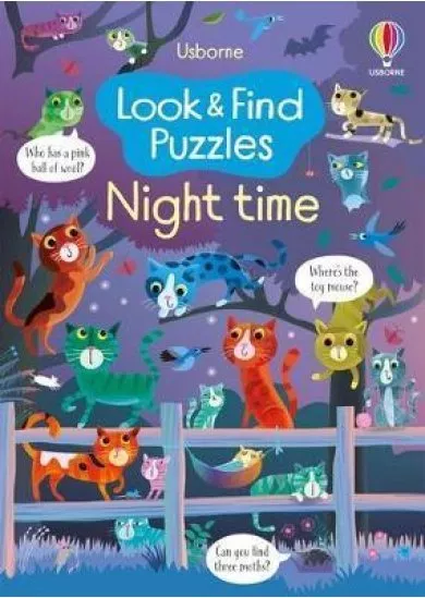 Look and Find Puzzles Night time