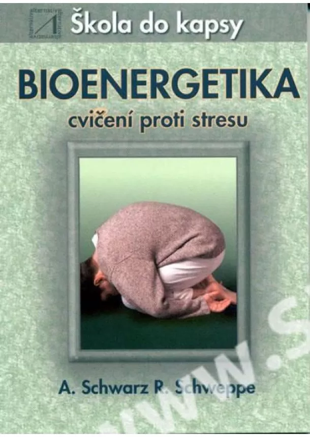 Aljoscha A. Schwarz, Ronald P. Schweppe - Bioenergetika-škola do kapsy