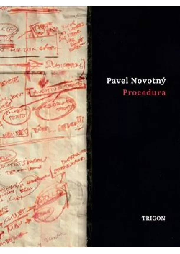 Pavel Novotný - Procedura