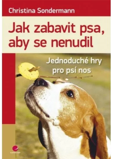 Jak zabavit psa, aby se nenudil - Jednoduché hry pro psí nos