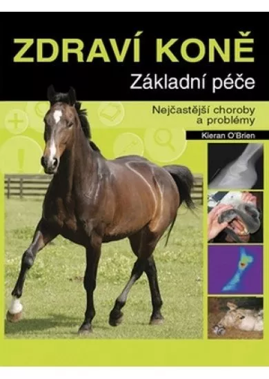 Zdraví koně: Základní péče