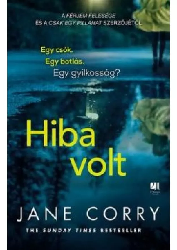 Jane Corry - Hiba volt