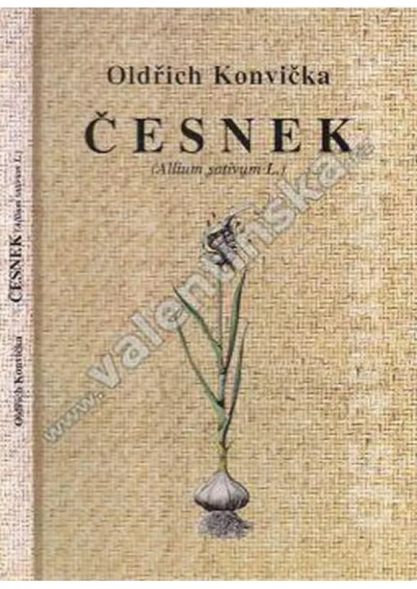 Martin Konvička - Česnek (Allium sativum L.)