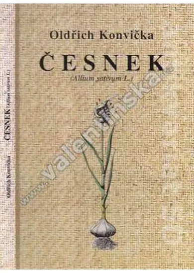 Česnek (Allium sativum L.)