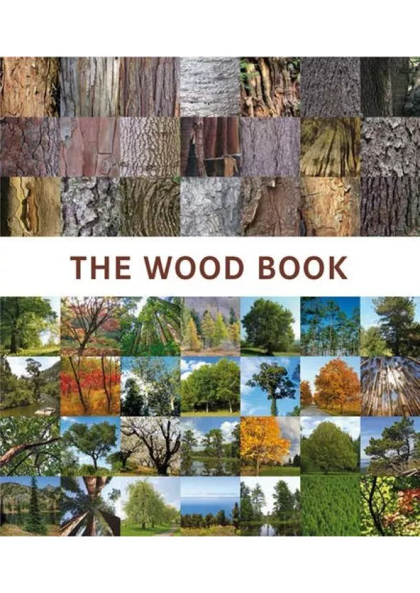 Francesc Zamora - Wood Book