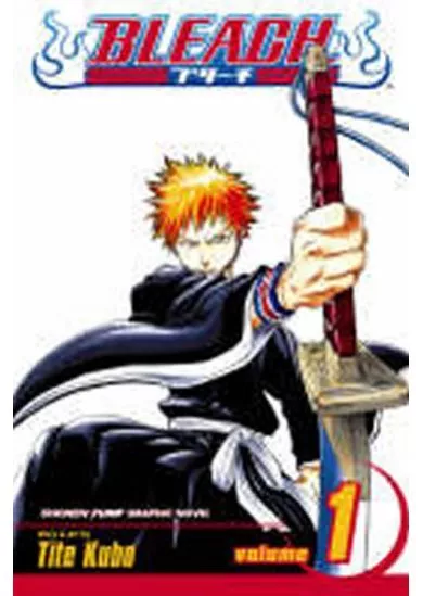 Bleach 1