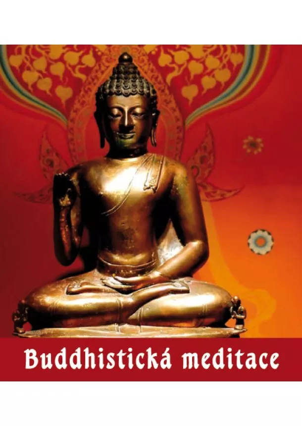 Roman Žižlavský  - Buddhistická meditace