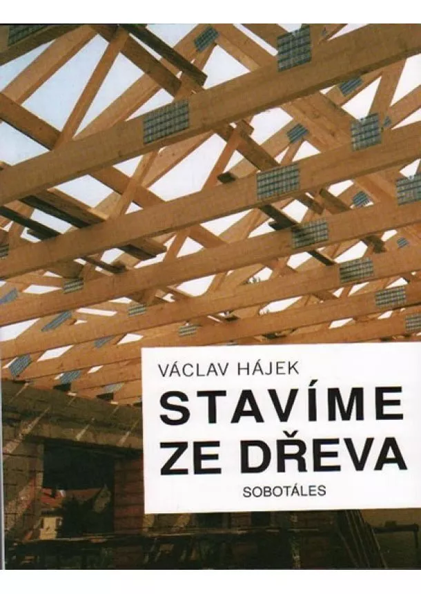 Václav Hájek - Stavíme ze dřeva