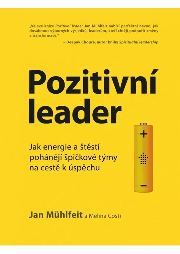 Jan Mühlfeit - Pozitivní leader