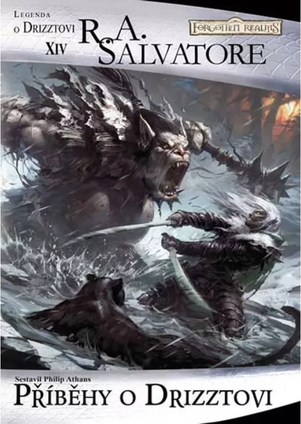 R. A. Salvatore - Legenda o Drizztovi 14 - Příběhy o Drizztovi