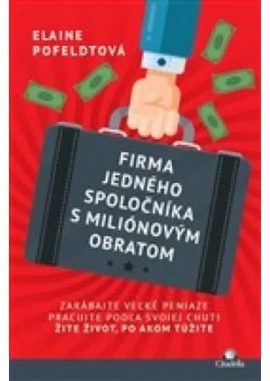 Firma jedného spoločníka s miliónovým obratom