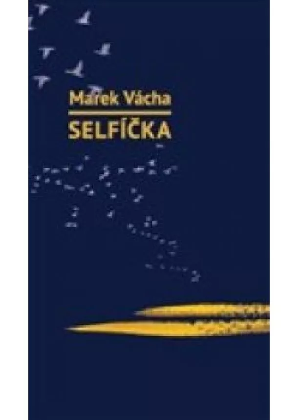 Marek Vácha - Selfíčka