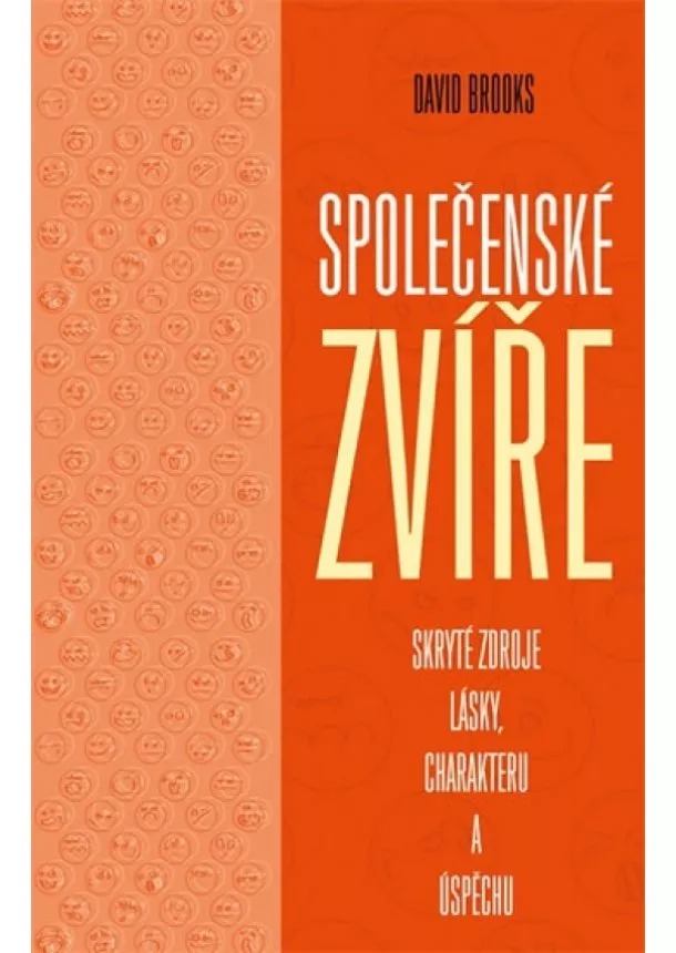 David Brooks - Společenské zvíře: Skryté zdroje lásky, charakteru a úspěchu