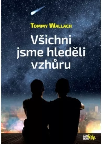 Všichni jsme hleděli vzhůru