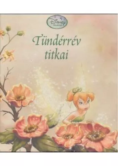 TÜNDÉRRÉV TITKAI /DISNEY TÜNDÉREK