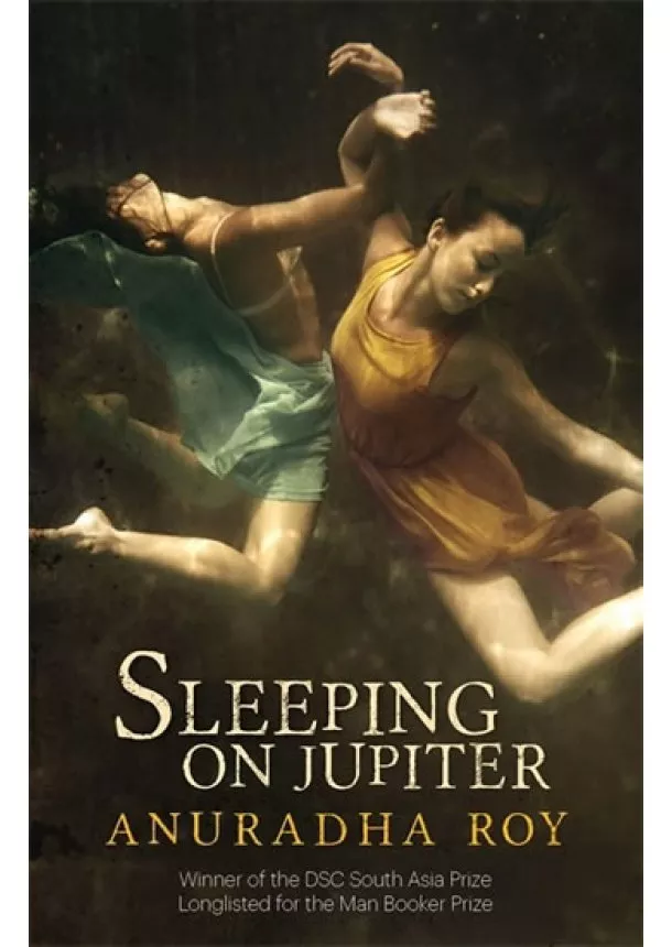 Roy Arundhati - Sleeping on Jupiter