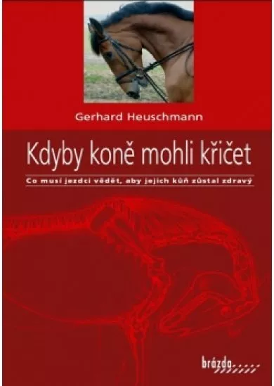 Kdyby koně mohli křičet - Co musí jezdci vědět, aby jejich kůň zůstal zdravý