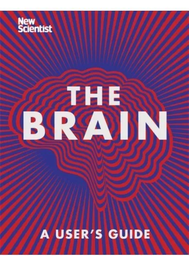 The Brain