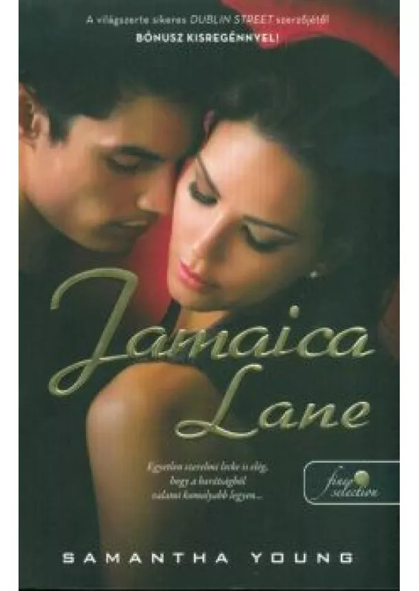 Samantha Young - Jamaica Lane /Dublin Street 3.