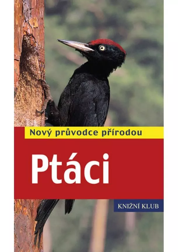 Volker Dierschke - Ptáci - Nový průvodce přírodou - 2.vydání