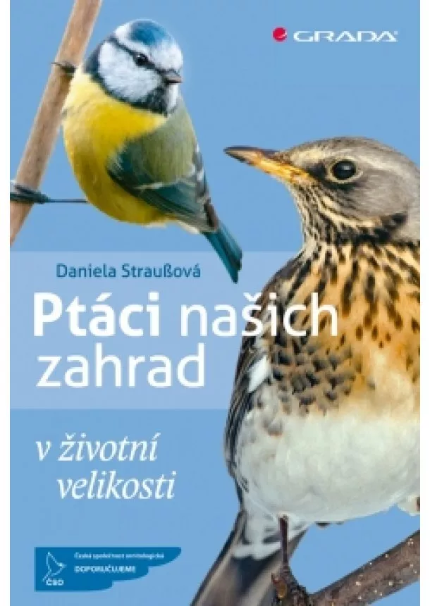 Daniela Straußová - Ptáci našich zahrad v životní velikosti