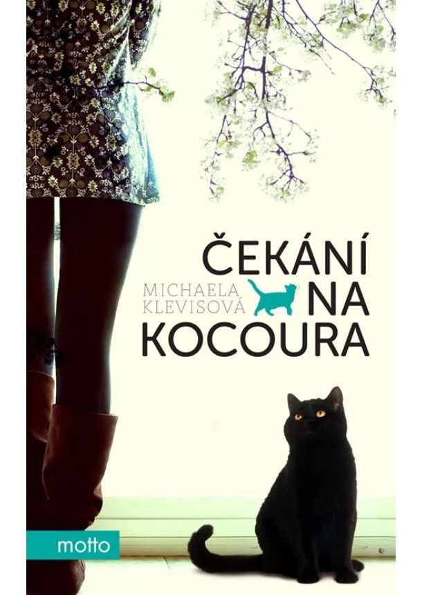 Michaela Klevisová - Čekání na kocoura