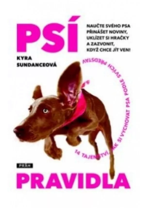 Kyra Sundanceová - Psí pravidla - 14 tajemství, jak si vychovat psa podle svých představ