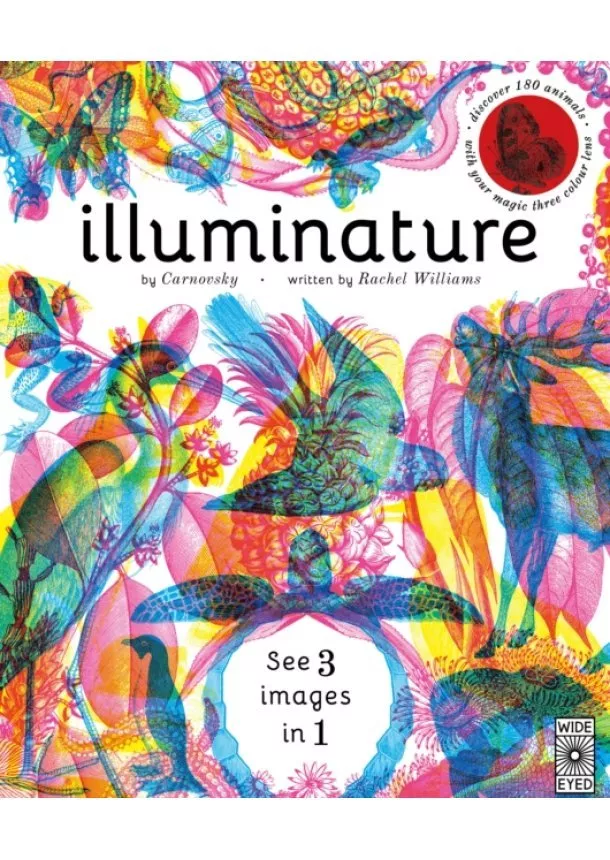 Rachel Williams - Illuminature