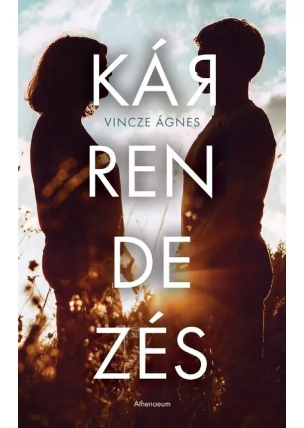 Vincze Ágnes - Kárrendezés