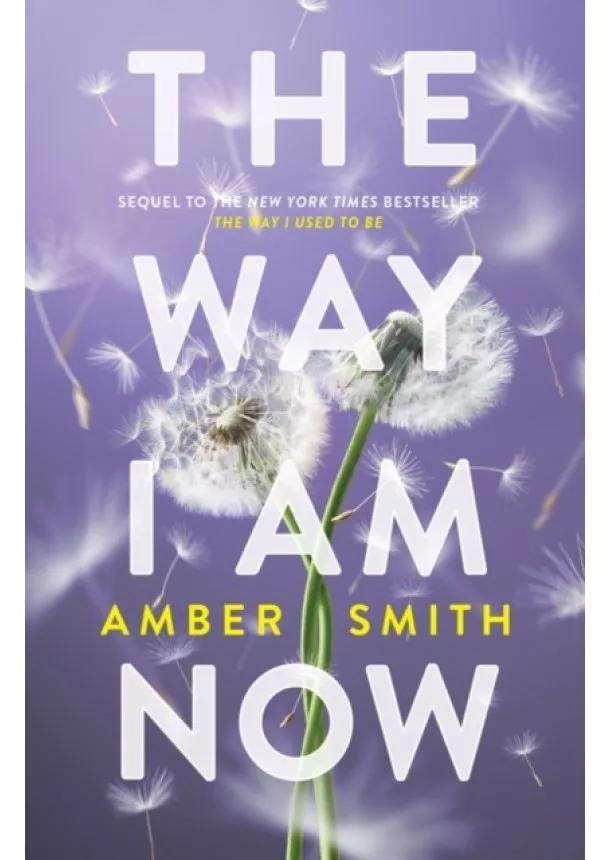 Amber Smith - The Way I Am Now