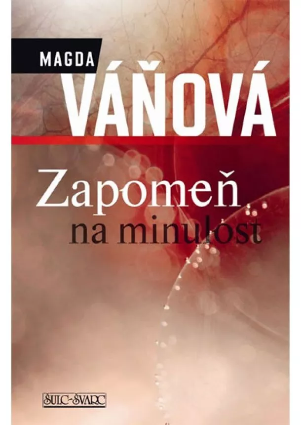 Magdalena Váňová - Zapomeň na minulost