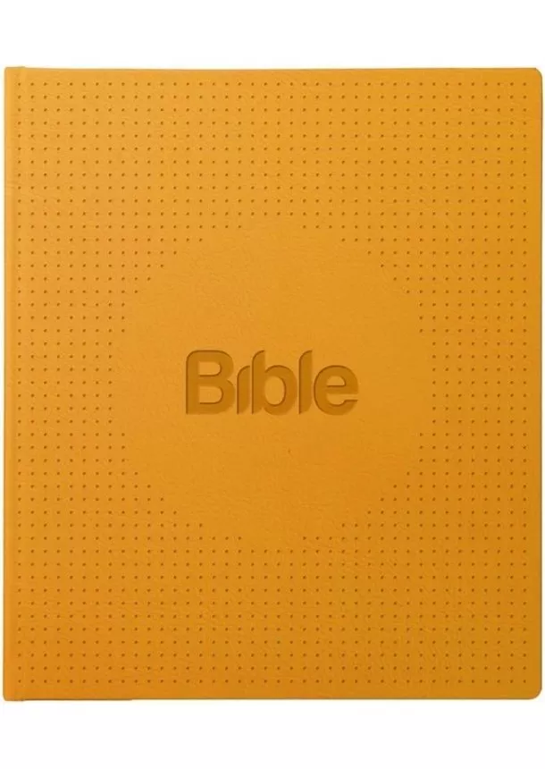 Alexandr Flek - Bible21 ilumina