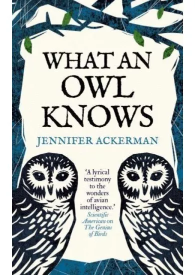 What an Owl Knows