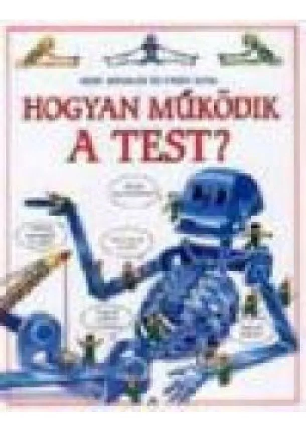 JUDY HINDLEY-COLLIN KING - HOGYAN MŰKÖDIK A TEST?