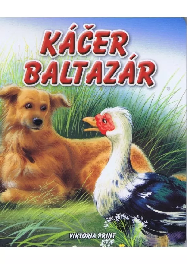 autor neuvedený - Káčer Baltazár