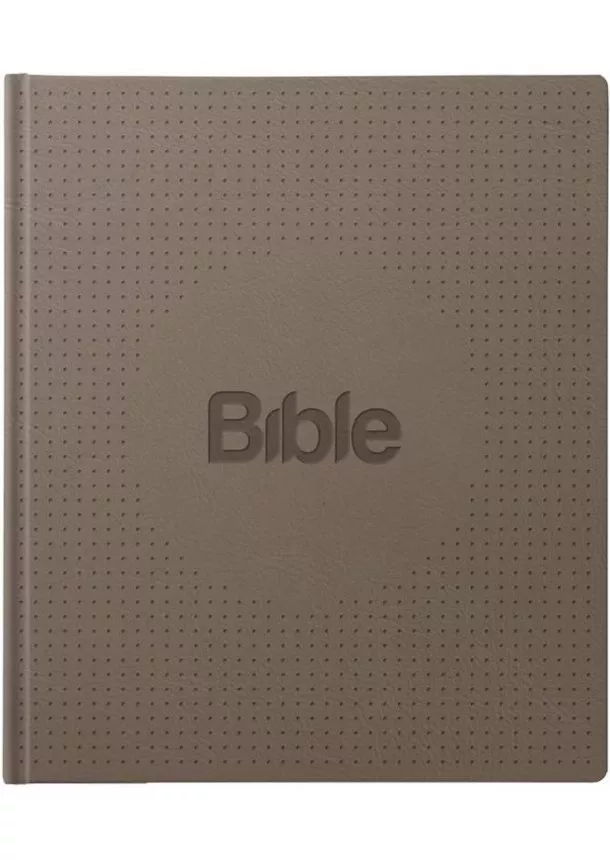 Alexandr Flek - Bible21 ilumina