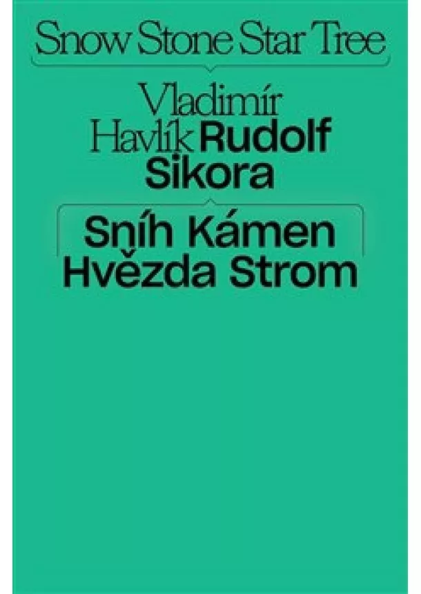 Jakub Král - Sníh, kámen, hvězda, strom